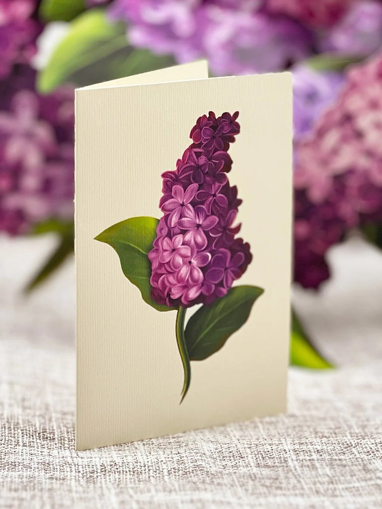 Paper Bouquet- Garden Lilacs