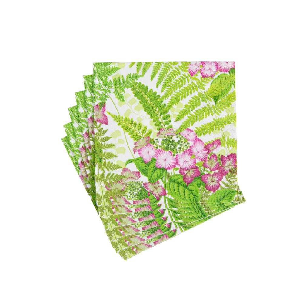 Fern Garden Boxed Paper Cocktail Napkins