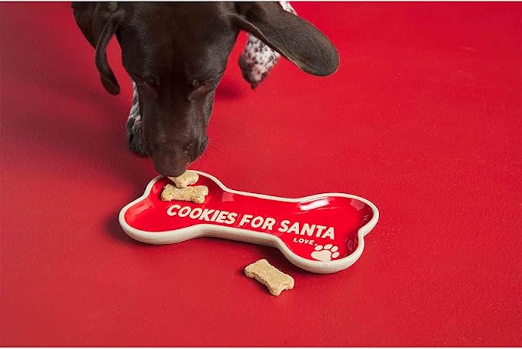 Pet Cookies for Santa Christmas Plate