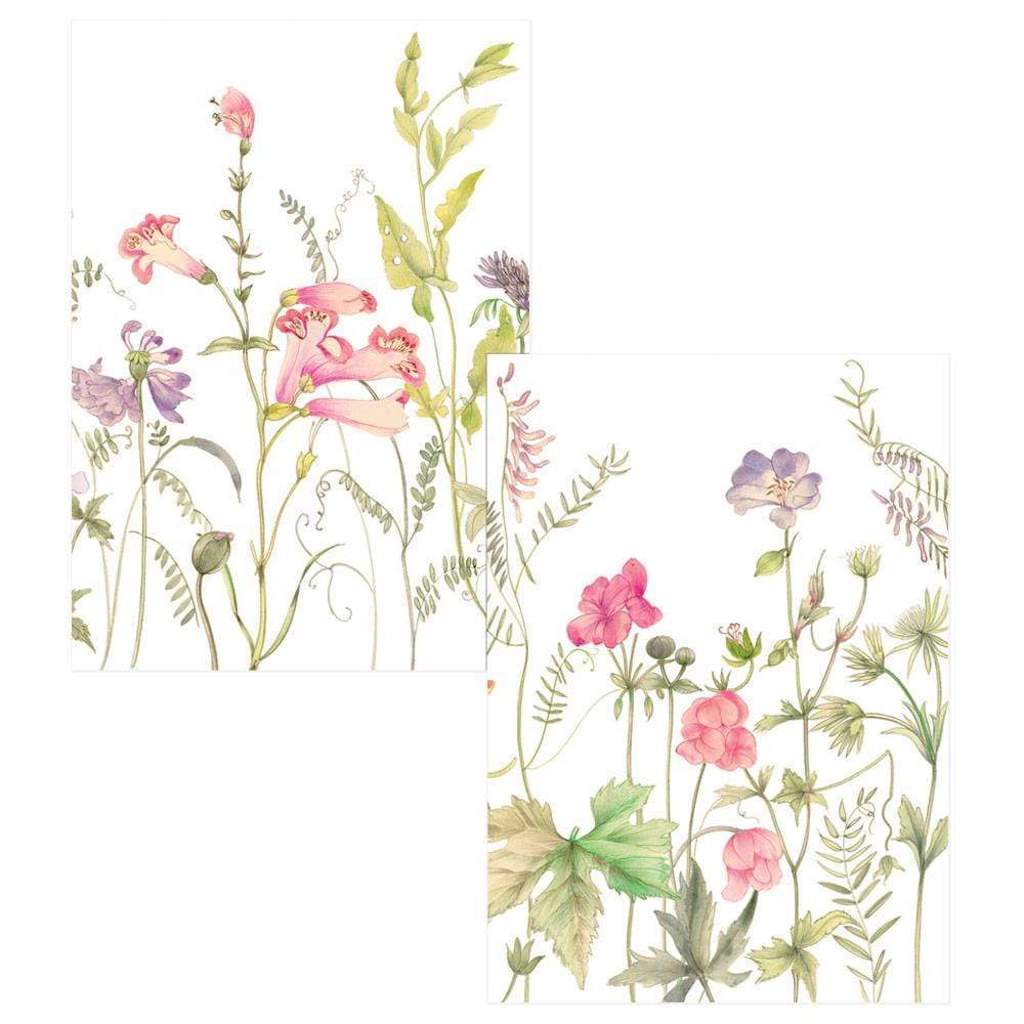 French Floral Boxed Note Cards