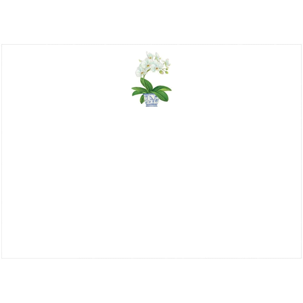 White Orchid Correspondence Cards