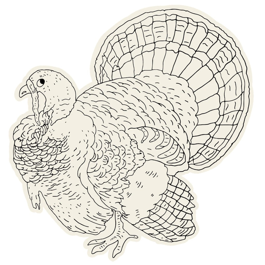 Die Cut Coloring Turkey Placemats
