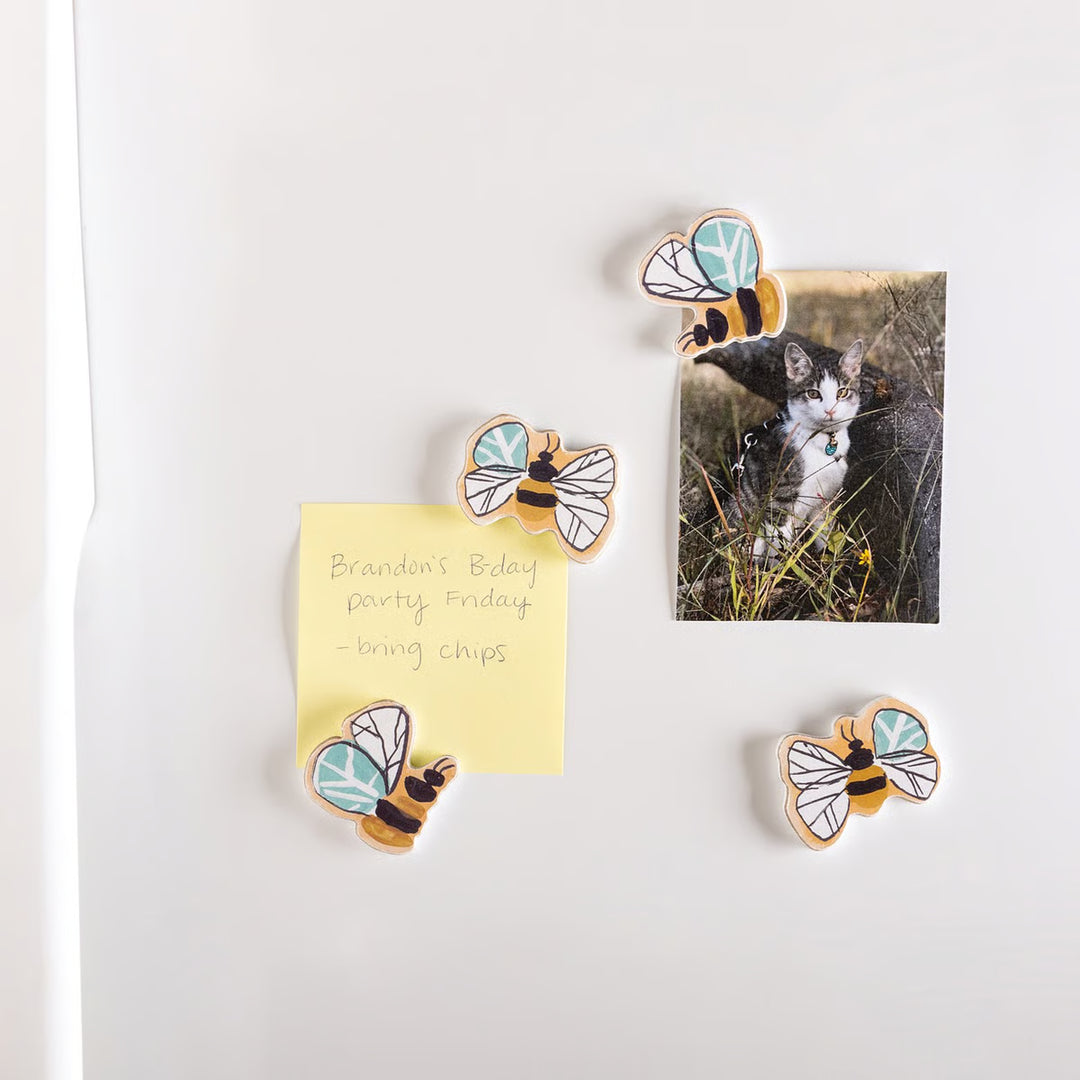 Bee Magnet Set