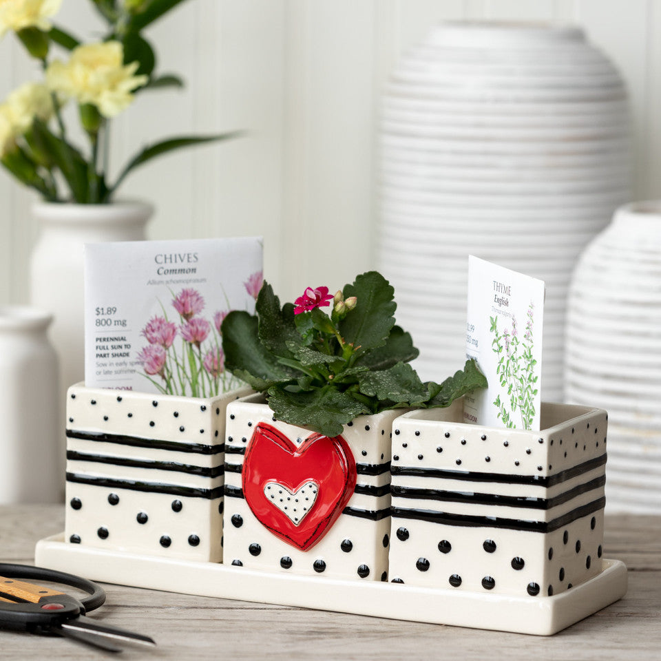 Flowers Herb Planter Set - Thumbnail 2