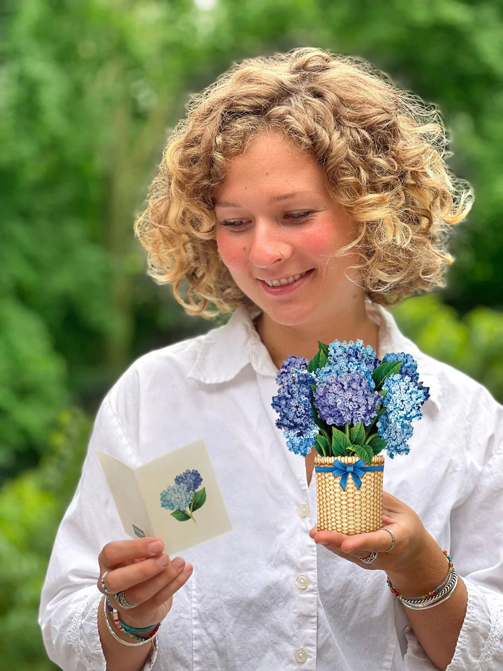 Paper Bouquet- Mini Nantucket Hydrangeas