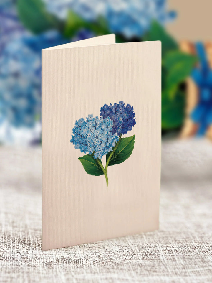 Paper Bouquet- Mini Nantucket Hydrangeas