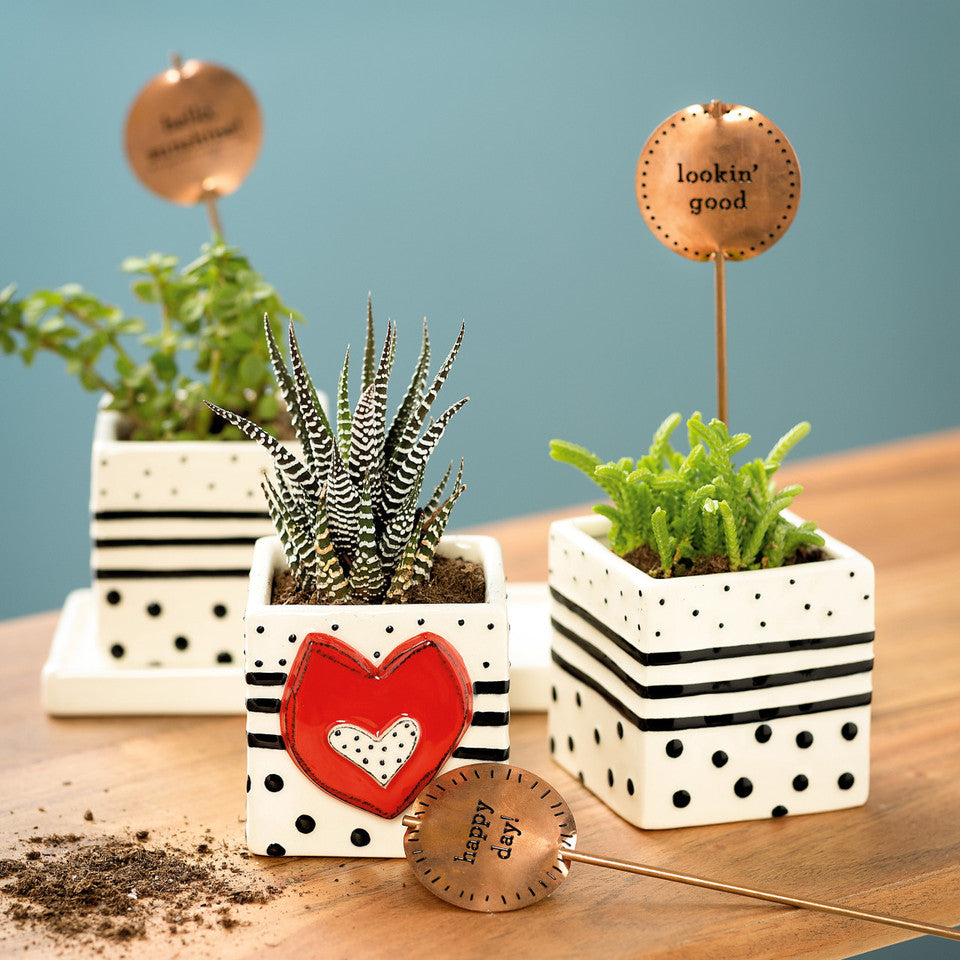 Flowers Herb Planter Set - Thumbnail 3