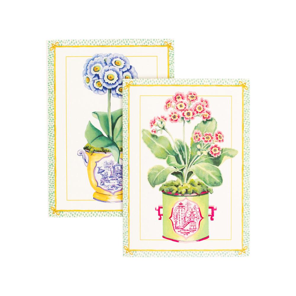 Primroses Boxed Note Cards
