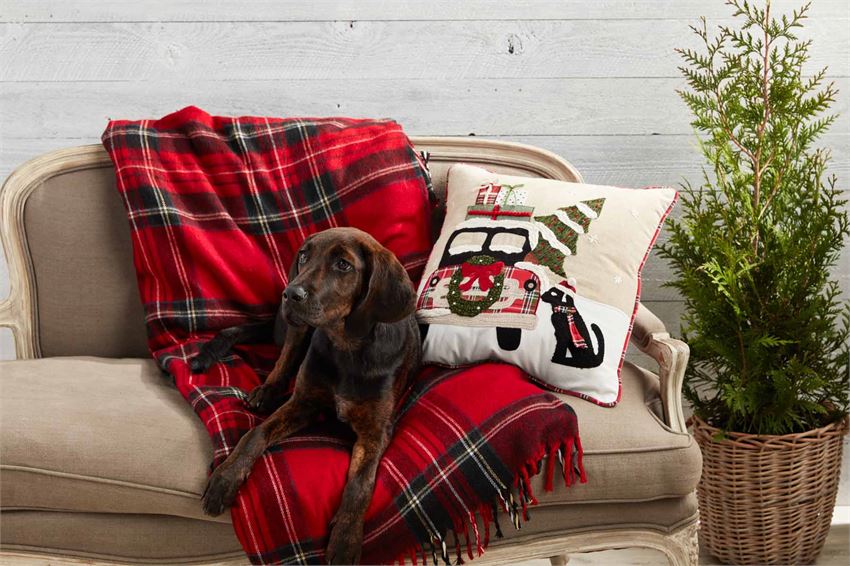 Christmas Dog Pillow