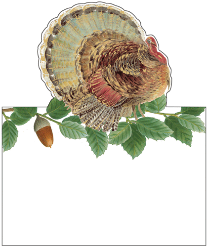 Turkey and Acorns Place Cards