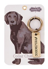 Dog Collar Charm (#Velcrodog)